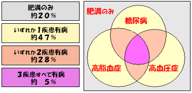 얞҂̐Kȁd̏󋵁ievj̐}