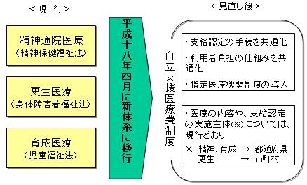 医療 自立 制度 支援