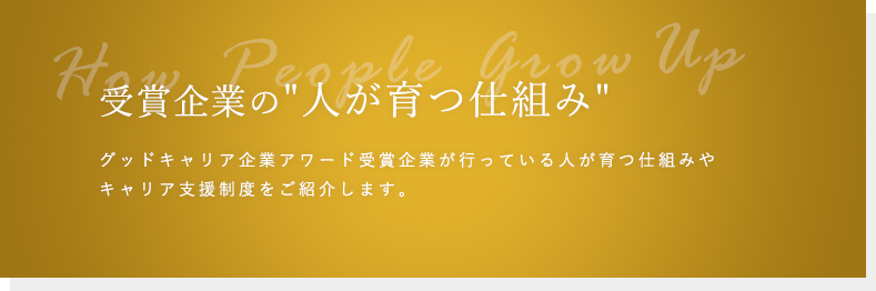 受賞企業の人が育つ仕組み