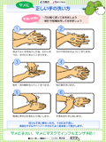 マメに正しい手の洗い方