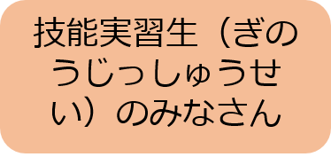 外国人の雇用 厚生労働省