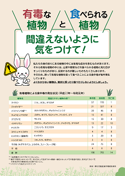 有毒な植物と食べられる植物間違えないように気をつけて！(国立医薬品食品衛生研究所安全情報部)