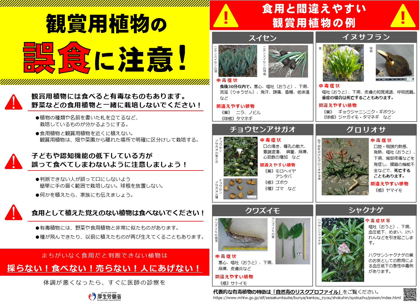 植物性食品によって中毒になった場合の対処法