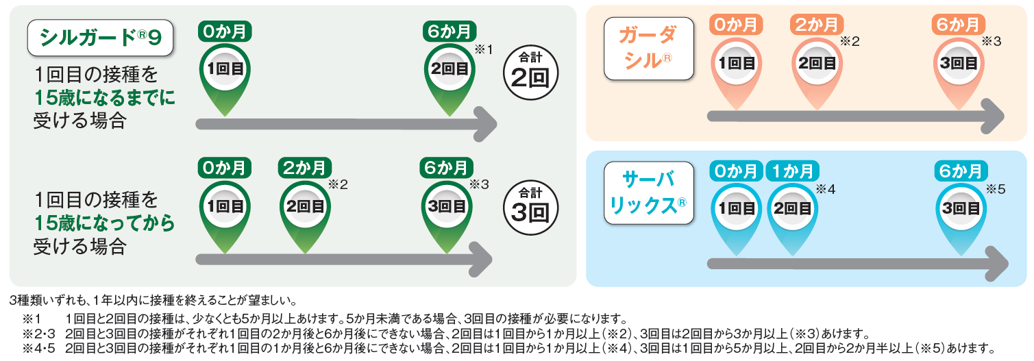 2、４、９価ワクチンの接種間隔に関する画像