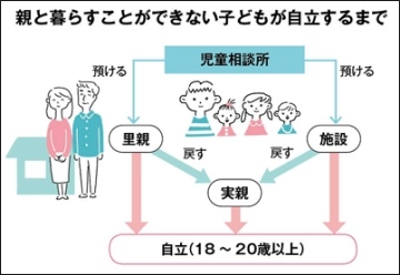 特別 養子 縁組 条件