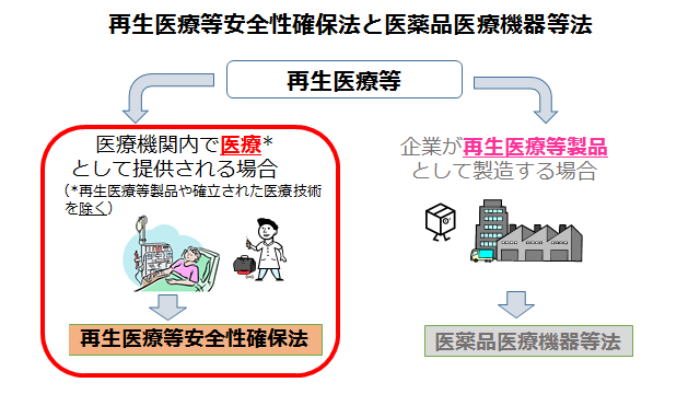 特定細胞加工物製造事業 株式会社セルバンク