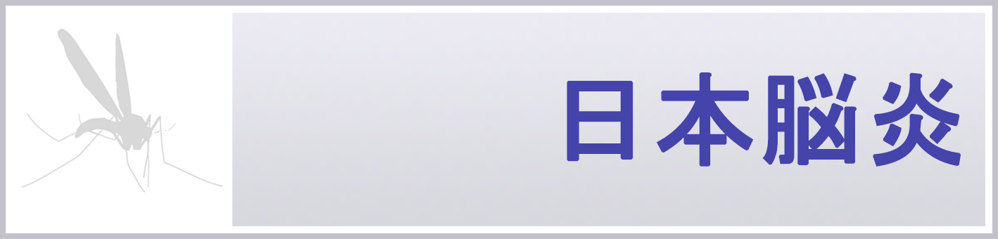 日本脳炎