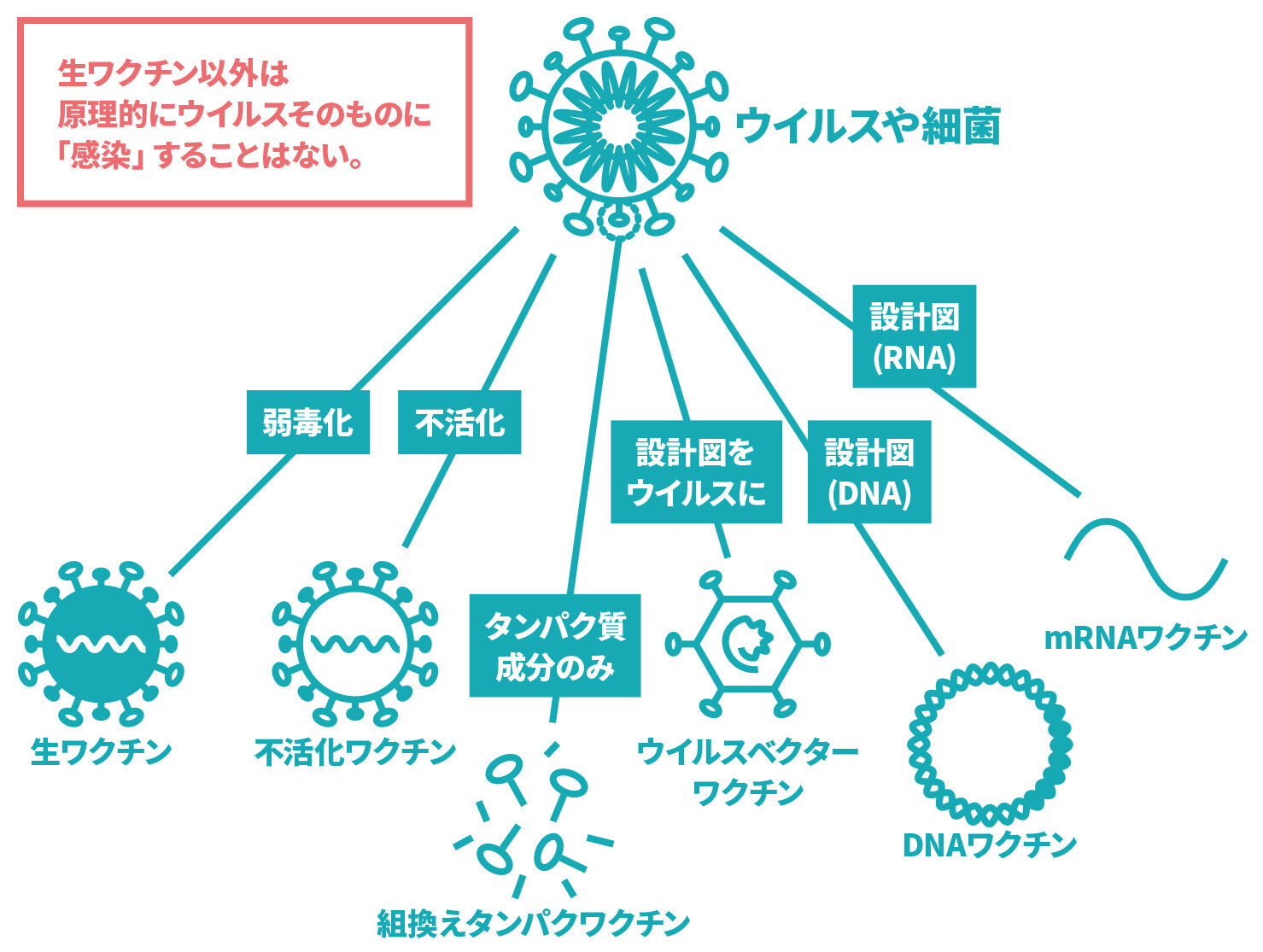 ワクチンの種類