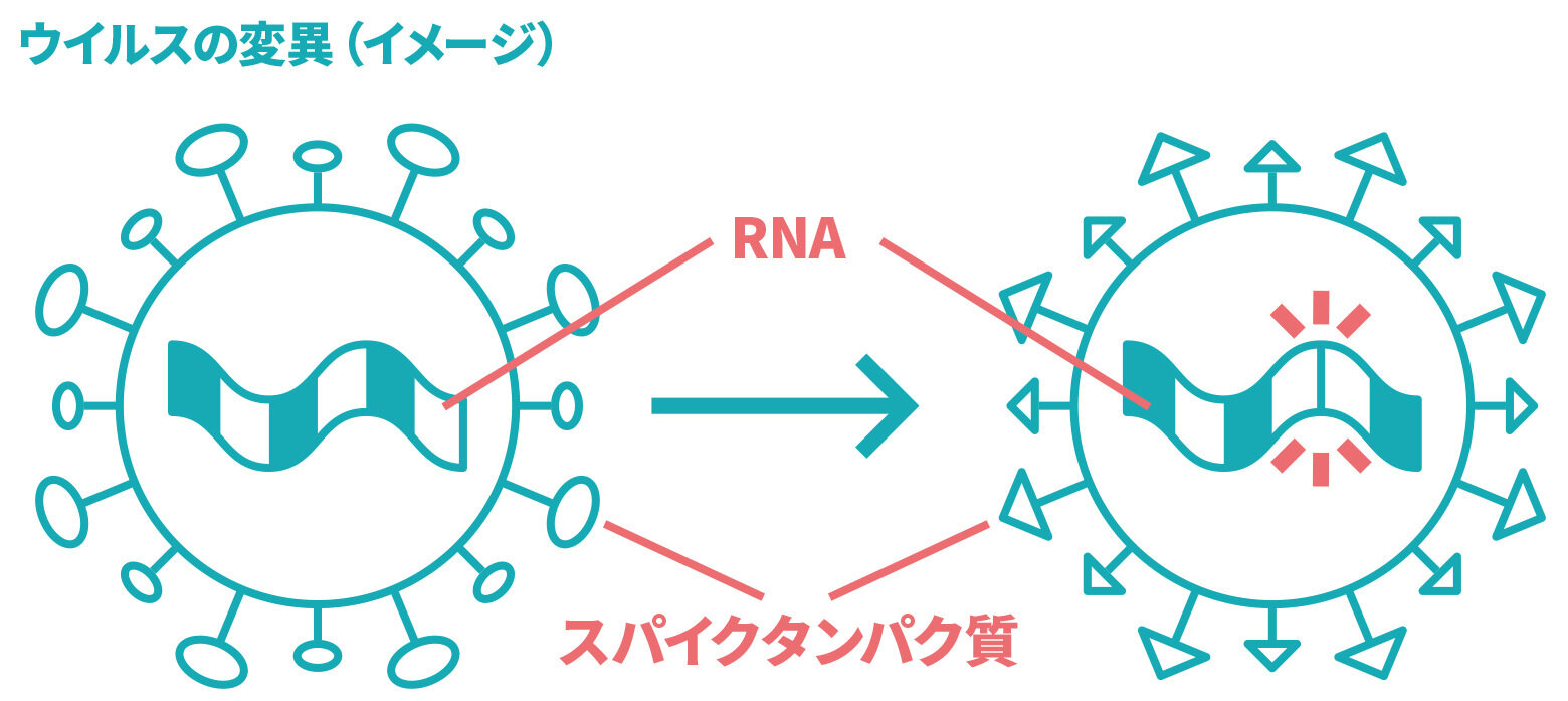 ウイルスの変異