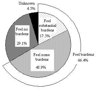 Figure 20  Burden of child-rearing expenditures