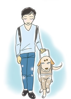 guide dog image