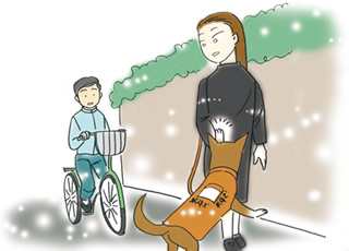 guide dog image