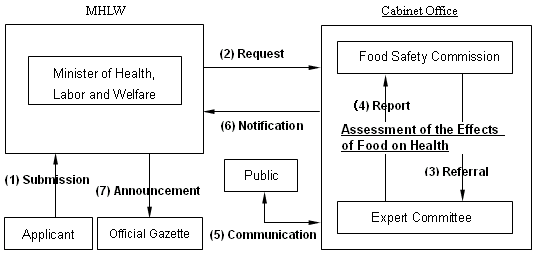 Procedure for Safety Assessment