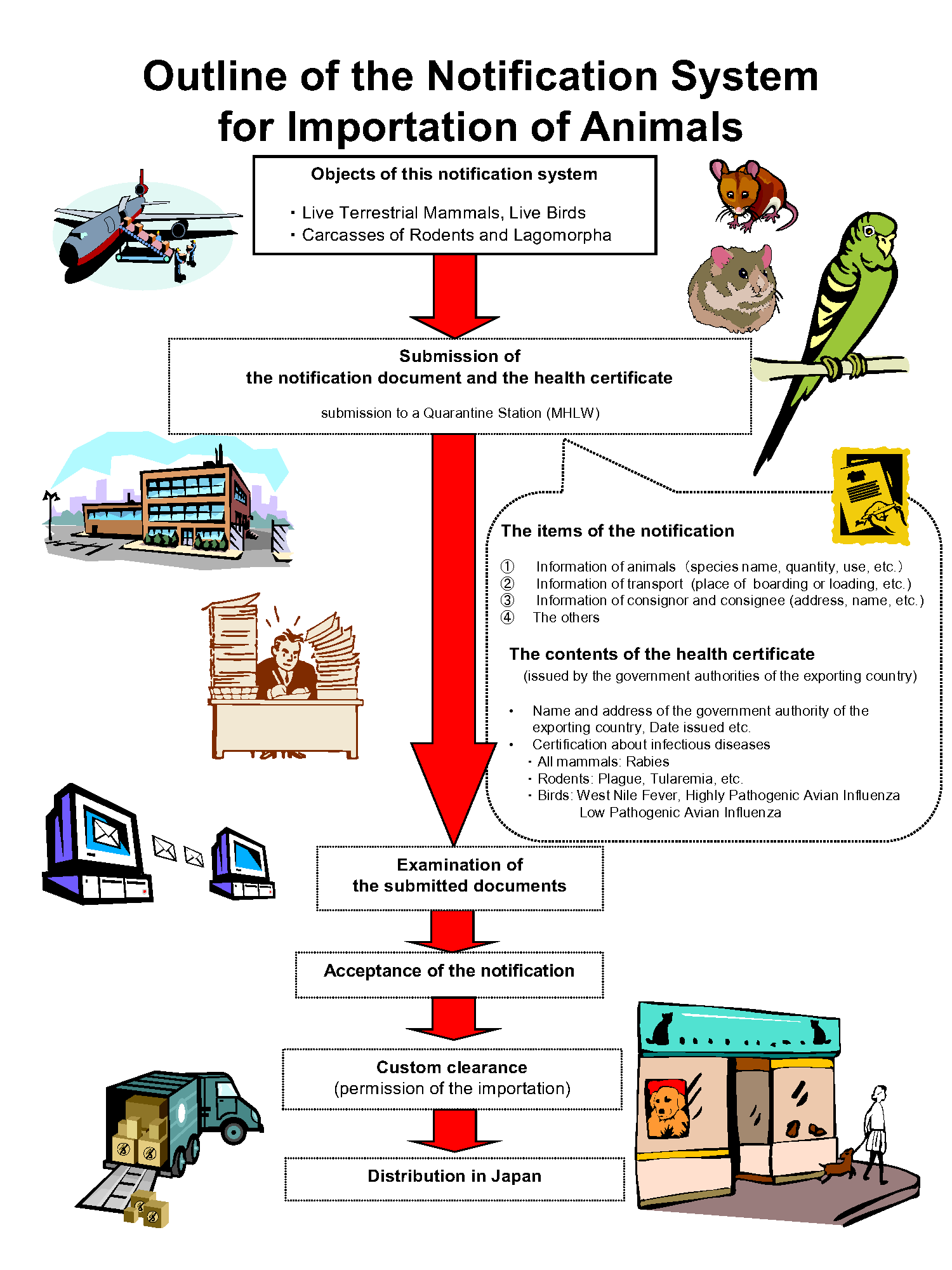 Outline of the notification system for importation of animals