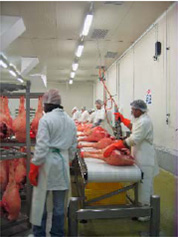 On-site inspection at a slaughterhouse in Italy