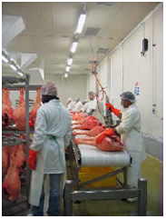 On-site inspection at a slaughterhouse in Italy