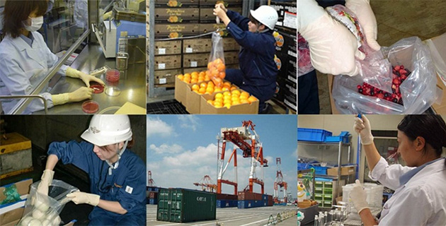Safety of Imported Food