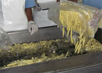 Baby corn packaging factory in Thailand
