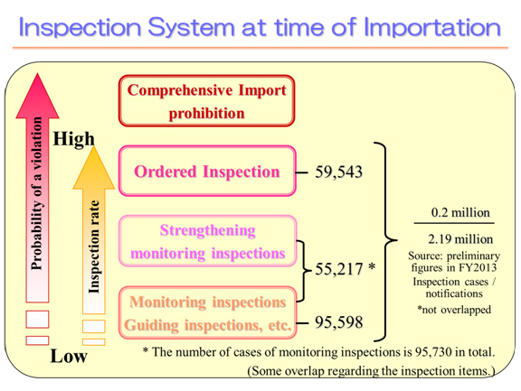 Inspection System at time of Importation