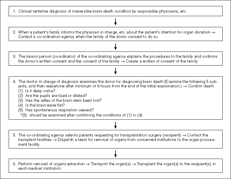 Outline of the Flow of Organ Donation from a Brain-dead Donor