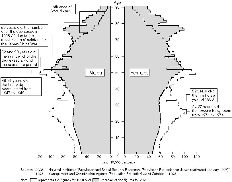 The Population Pyramid in Japan