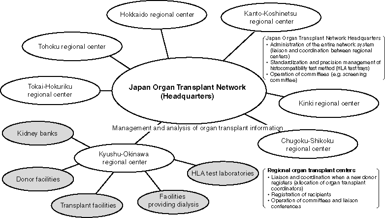 Organ Transplant Network System