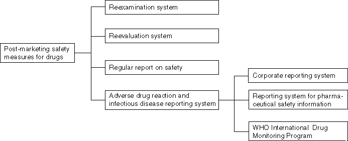 Structure of Postmarketing Safety Measures