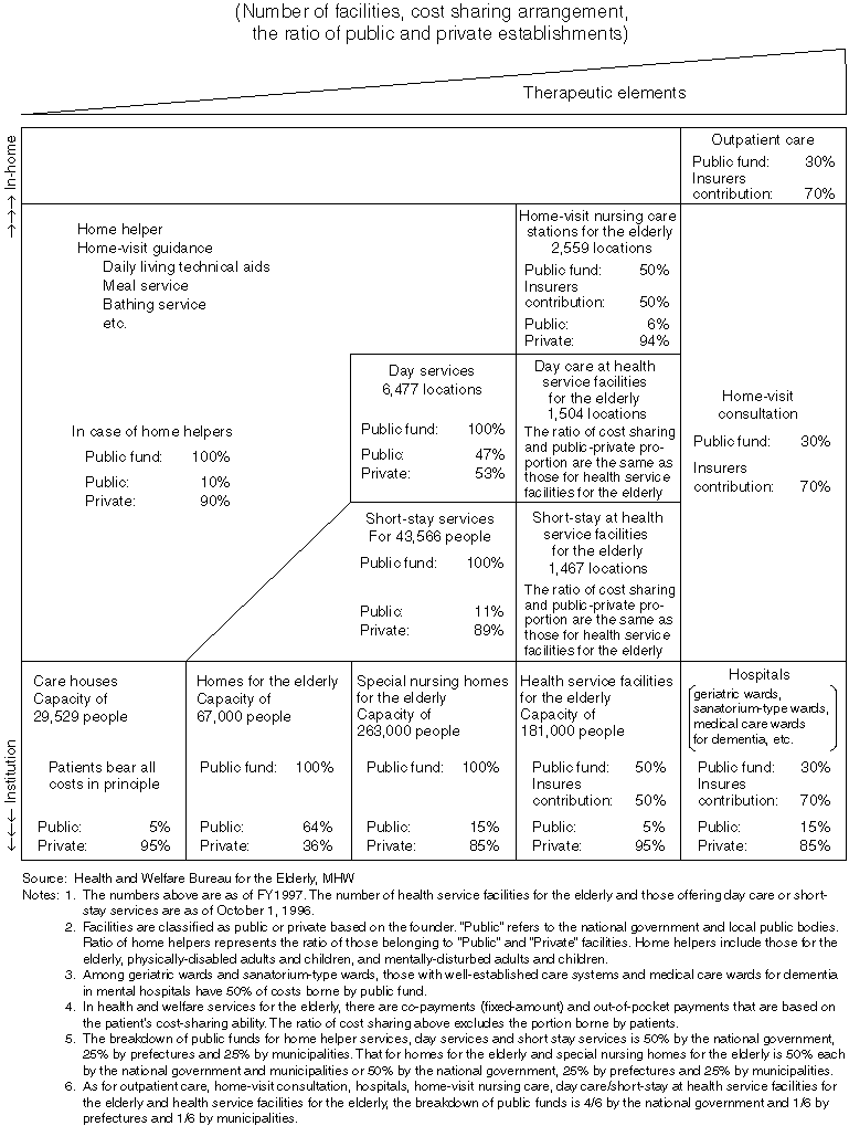 System of Health and Welfare Services for the Elderly