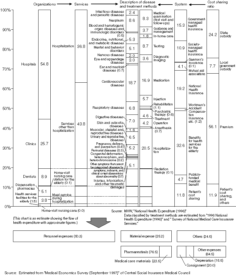 Health Expenditure Flow Chart