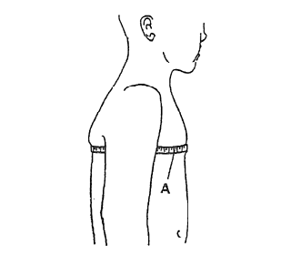 胸囲の計測の図