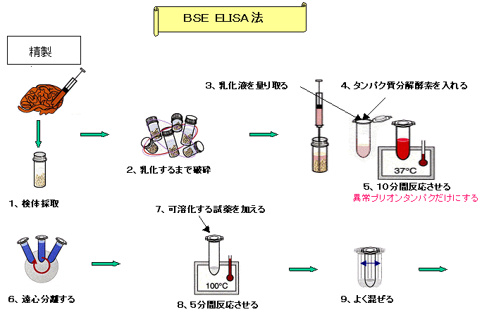 BSE ELISA@t[@