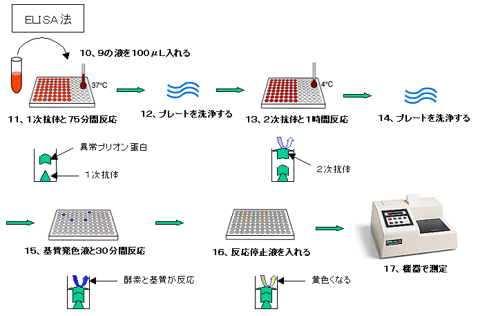 BSE ELISA@t[@ELISA@