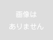 写真（2013年2月22日）