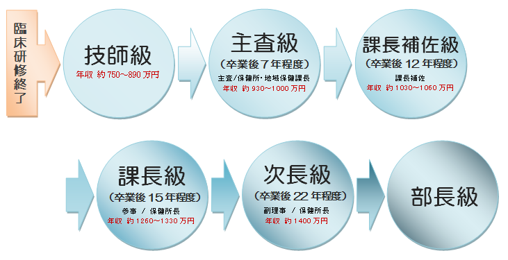 役割 保健所 の