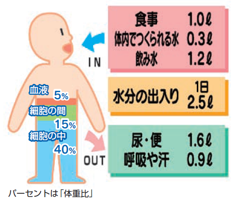 水分 高齢 量 者