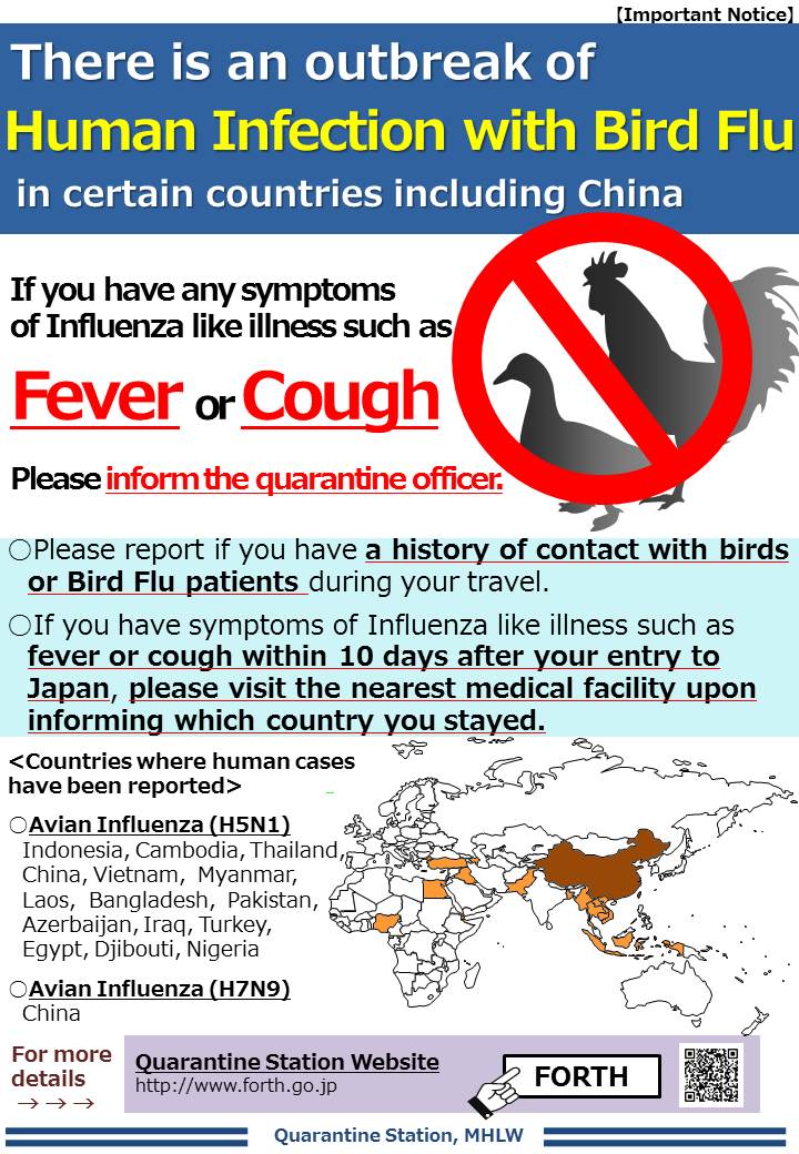 鳥 インフルエンザ 症状