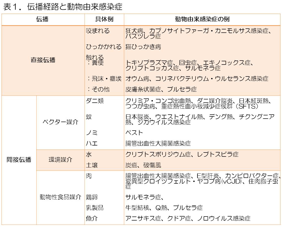 感染 症 分類