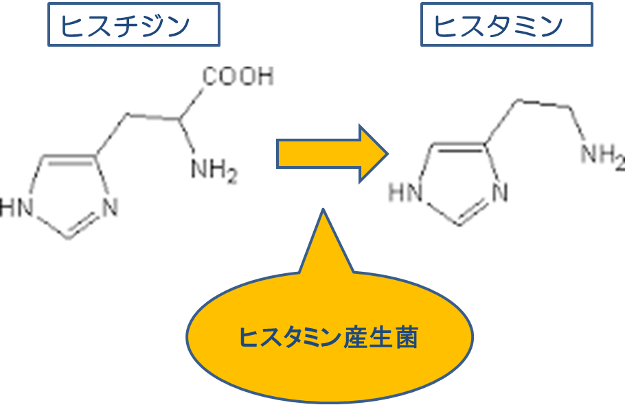 ヒスタミン 中毒 治療