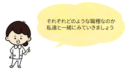 それぞれどのような職種なのか私たちと一緒にみていきましょう