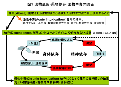 薬物乱用・薬物依存・薬物中毒の関係