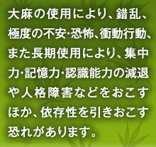 大麻の使用により、錯乱、極度の不安・恐怖、衝動行動、また長期使用により、集中力・記憶力・認識能力の減退や人格障害などをおこすほか、依存性を引きおこす恐れがあります。