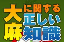 大麻に関する正しい知識