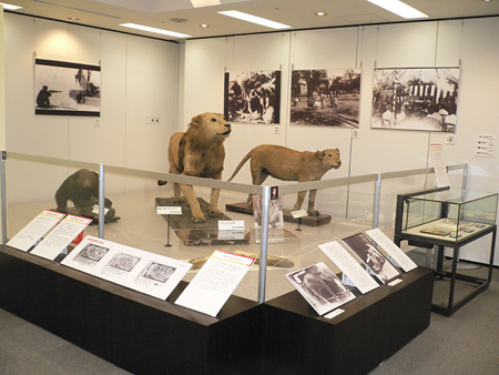 「昭和館」で８月３１日まで特別企画展「戦中・戦後をともにした動物たち」を開催