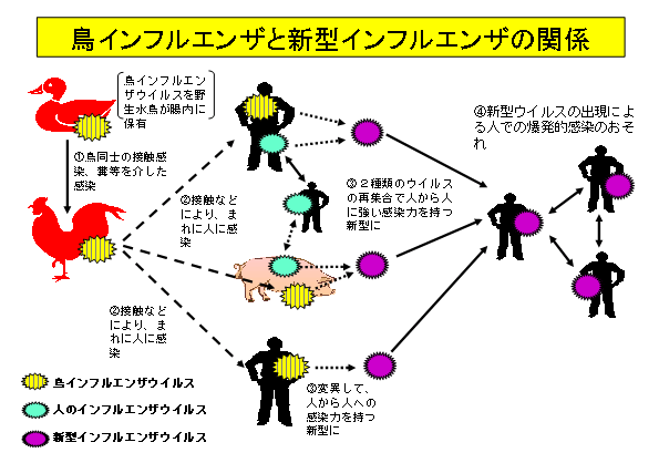 ウイルス 症状 変異