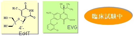 2) GCYÖ4f-Ed4TElvitegravir (EVG)̊J