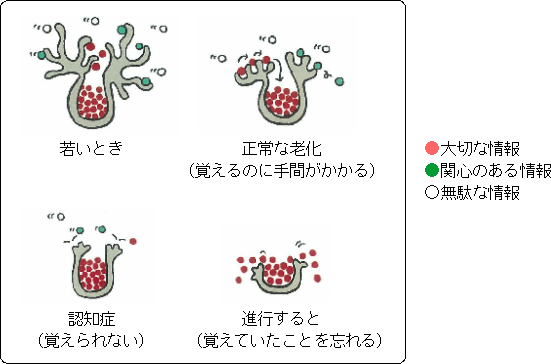 厚生労働省 政策レポート 認知症を理解する