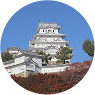 Hyogo Tourism Guide