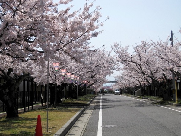 こんな景色ももうすぐ.待ち遠しい！