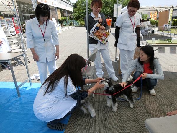 ご主人さまの白衣姿に愛犬も思わず「わん!」とすり寄った?