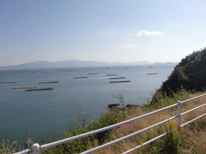 牡蠣いかだが浮いています。天気がよければ見えている小豆島の建物まで見えます。